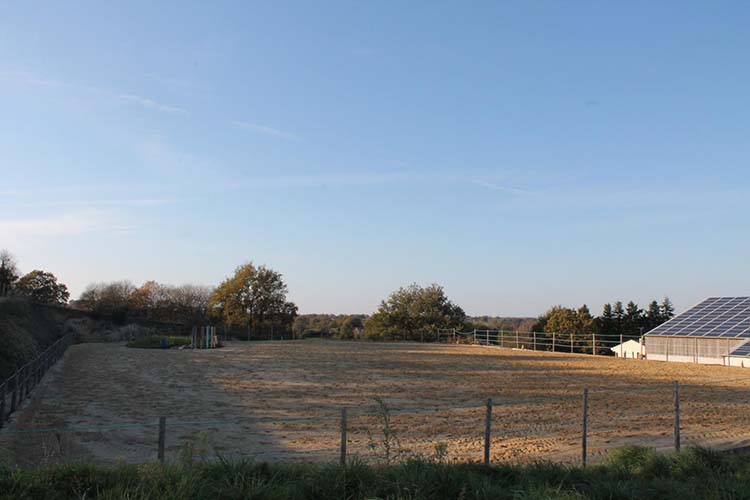 Poulinière Saint-Laurent-sur-Sèvre